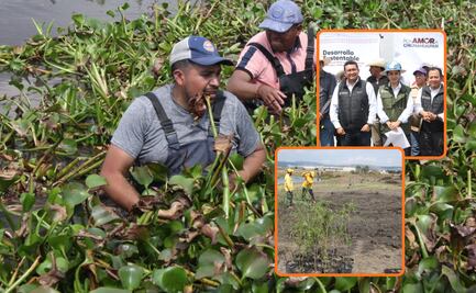 Inicia gobierno estatal saneamiento y reforestación de Laguna de Chignahuapan