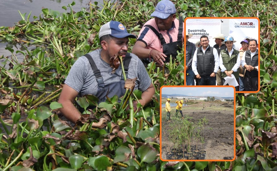 Inicia gobierno estatal saneamiento y reforestación de Laguna de Chignahuapan