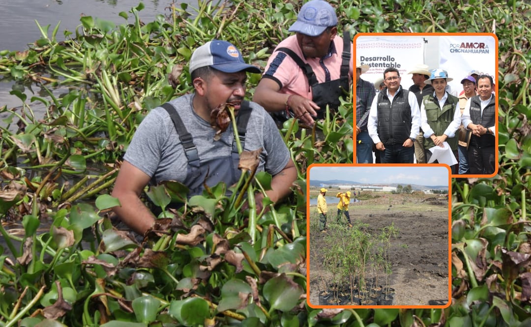 Tras un recorrido se determinó que no hay descargas clandestinas hacia la Laguna, pero sí hay residuos provenientes de la zona de los viveros | Foto: Gobierno del Estado
