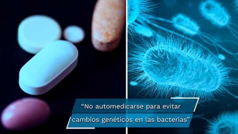 Las bacterias se están haciendo resistentes a los antibióticos
