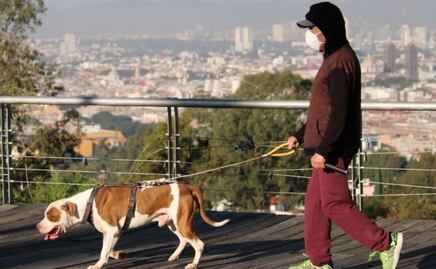 ¡Felicidades forever alone! Es 13 de febrero, Día Mundial del Soltero 