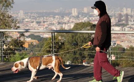 ¡Felicidades forever alone! Es 13 de febrero, Día Mundial del Soltero