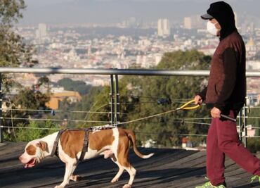 ¡Felicidades forever alone! Es 13 de febrero, Día Mundial del Soltero