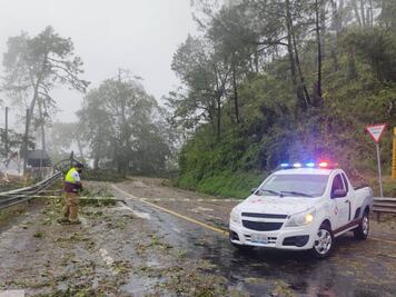 Protección Civil y Bomberos retiran árboles sobre carreteras de Puebla