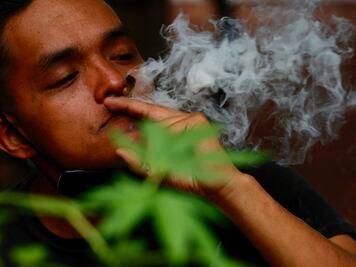 Se anula prohibición del uso lúdico de la marihuana