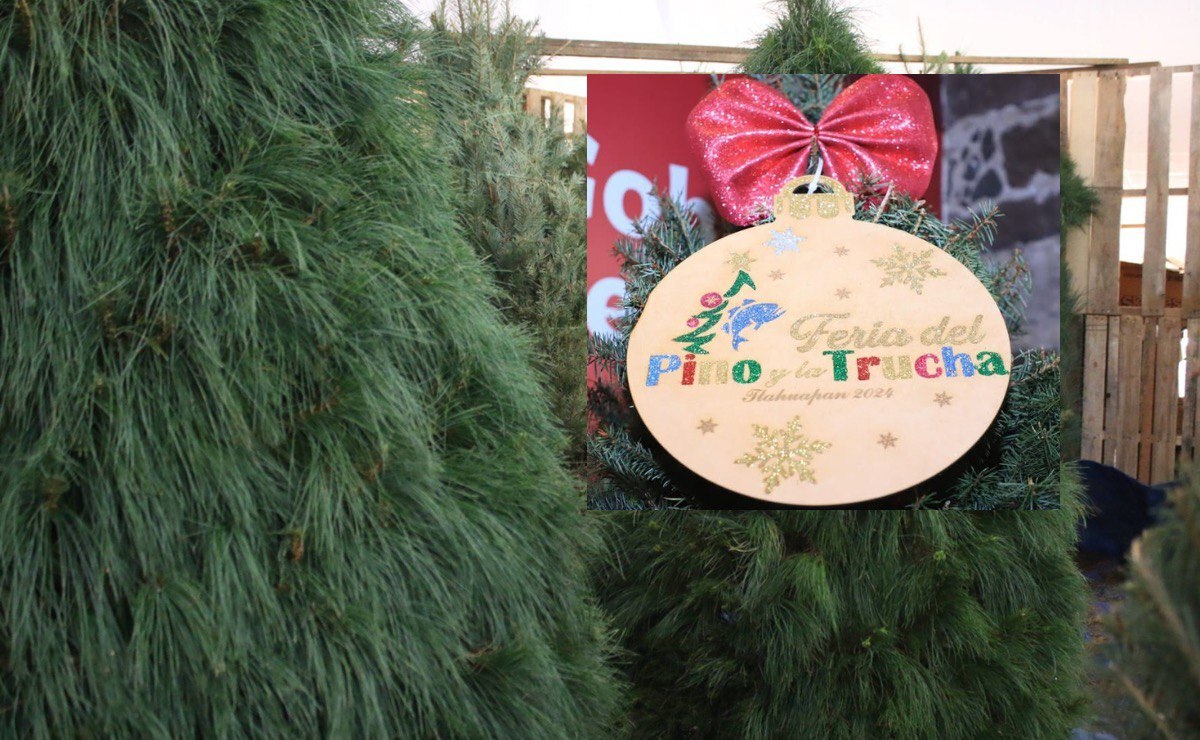 Pinos navideños desde 700 pesos en Santa Rita Tlahuapan