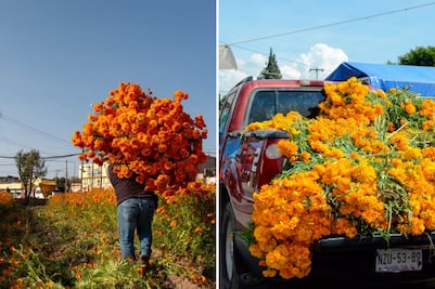 ¿Cuánto cuesta el cempasúchil en Puebla este 2025?