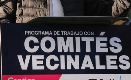 ¿Qué son los comités vecinales y para qué sirven?