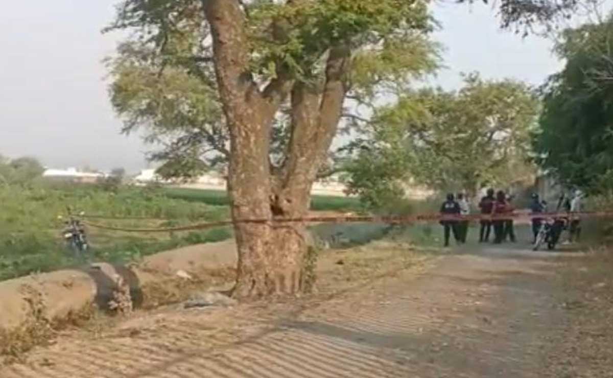 Hallan cadáver putrefacto a un costado de la internacional a Oaxaca
