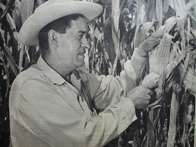 Gilberto Palacios | Redes Sociales