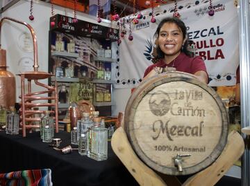 IPN y gobierno de Puebla hacen alianza a favor del agave mezcalero