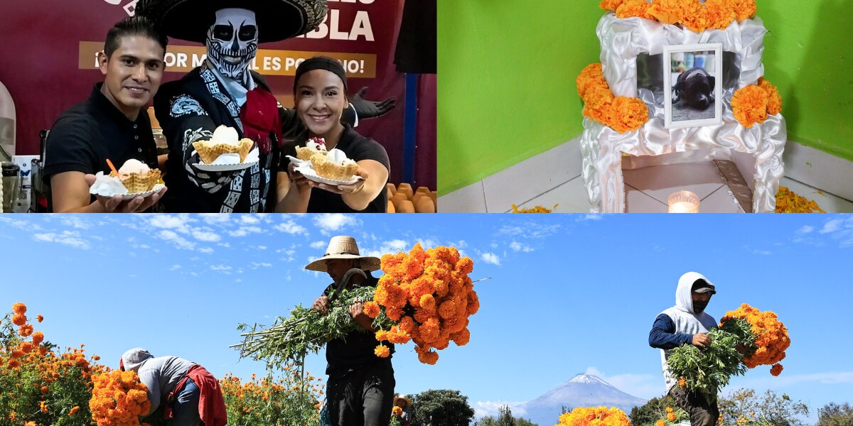 La Flor de  Cempasúchil también es comestible, no solo sirve como elemento de ornato / Foto: EsImagen / Ximitl Helados