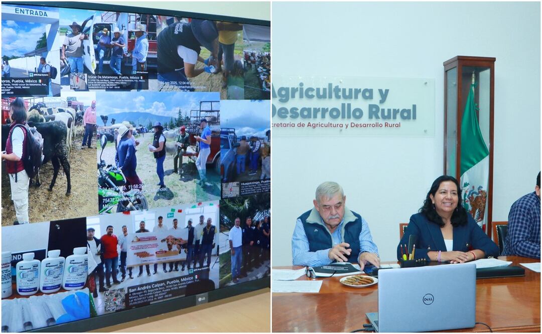 Se llevaron a cabo reuniones informativas con delegaciones, asociaciones ganaderas y veterinarios | Foto: Gobierno del Estado