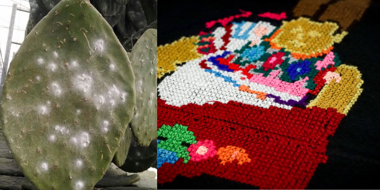 Grana Cochinilla / Foto EsImagen, Redes Sociales Grana Cochinilla