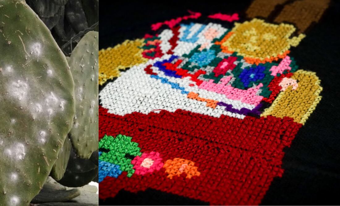 Grana Cochinilla / Foto EsImagen, Redes Sociales Grana Cochinilla