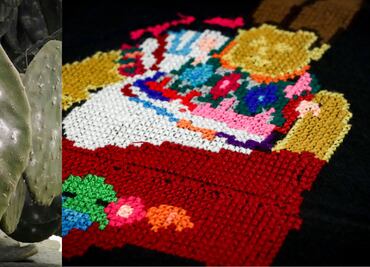 Grana cochinilla en Puebla: un valioso pigmento producido artesanalmente