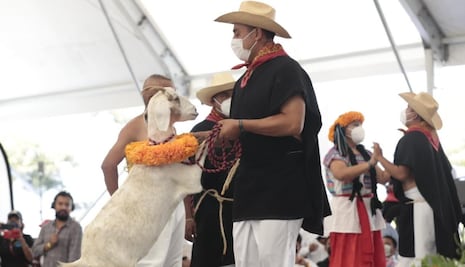 Mole de caderas quiere unirse a productos poblanos con Denominación de Origen