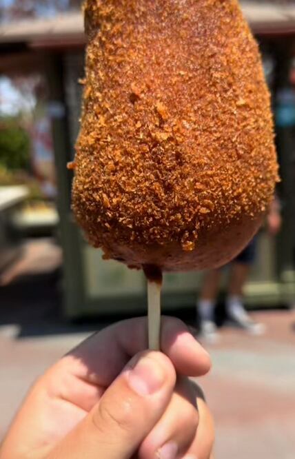 El chile poblano es un rico snack en Disney | TikTok Samuel