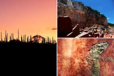 Qué hacer y cómo llegar a la pequeña Arizona de Puebla, donde encontraron fósiles prehistóricos