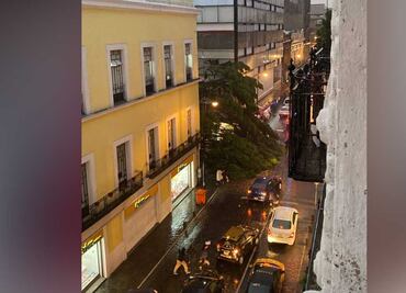 Un menor muerto y una mujer herida por caída de árbol en la 5 de Mayo y 2 Oriente