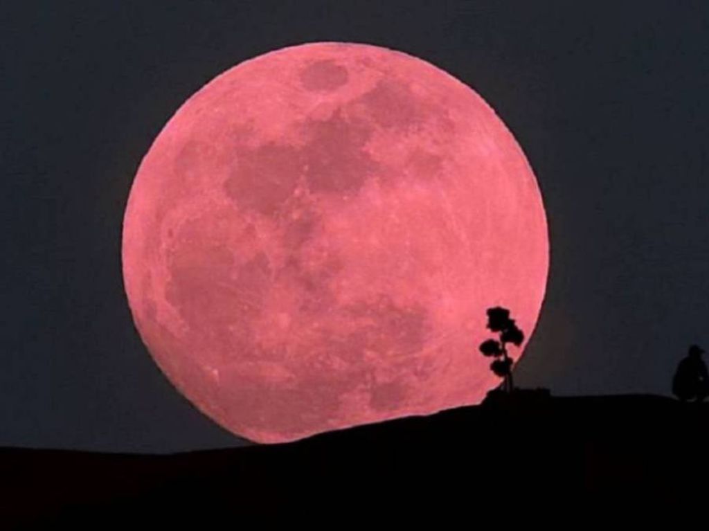 La "Luna de Fresa" es un término tradicional utilizado por algunas culturas indígenas en América del Norte para referirse a la luna llena que ocurre en junio. 

Foto: Producción El Universal Puebla
