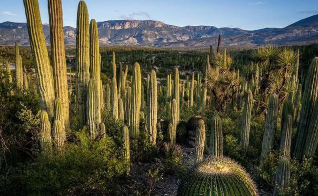 La Mixteca poblana es una zona enigmática por varias razones | Foto: Instagram enriquebarquet