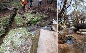 Rastro de Edomex echa sus desechos al Río Atoyac: Armenta