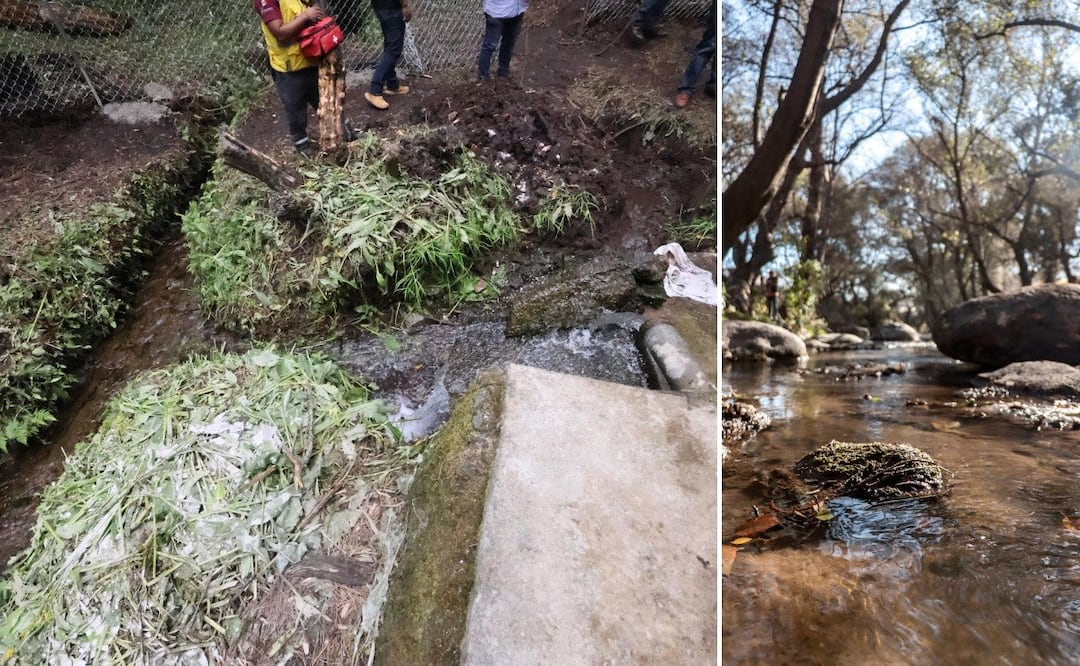 En el río Atoyac hay desechos de un rastro de Río Frío en el Edomex | Foto: EsImagen