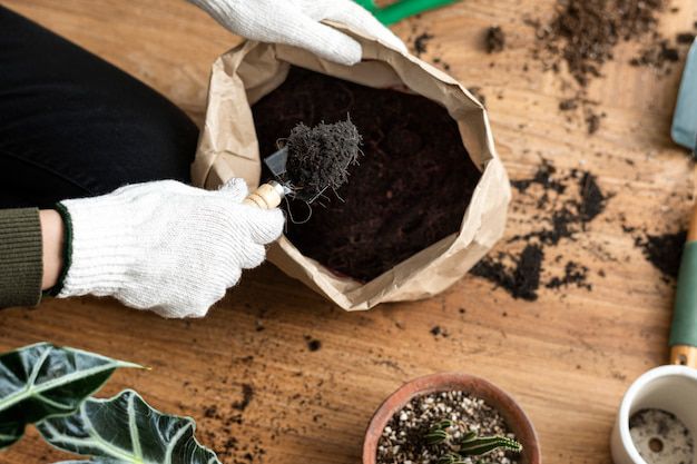 Cuida tus plantas con estos fertilizantes caseros. Fuente: Freepik.