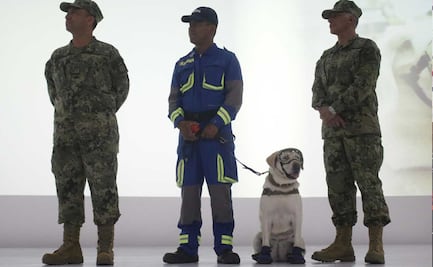 Muere la perrita Frida y conmueve a todo Puebla