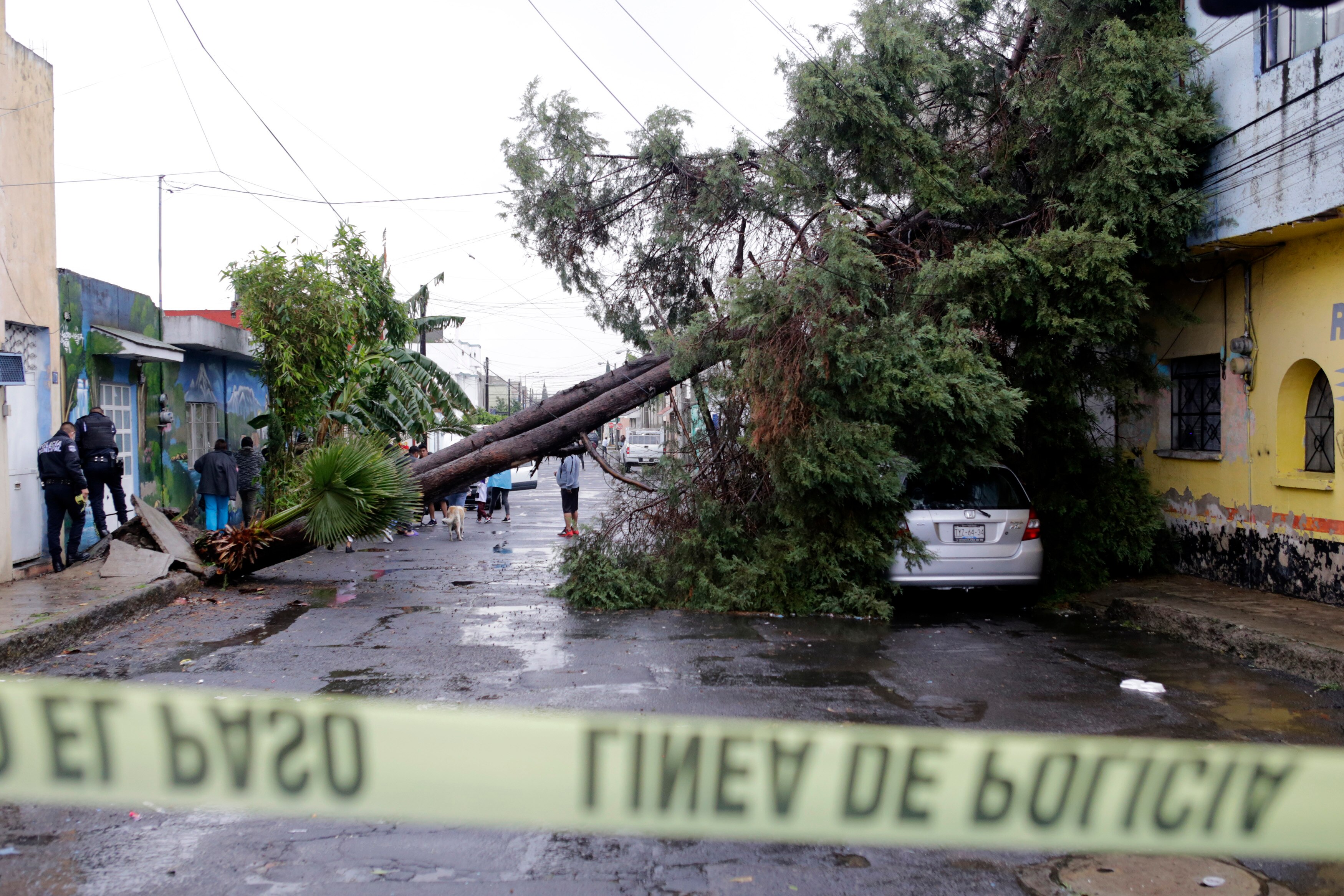 Inundaciones y caída de árboles dejó la fuerte lluvia en Puebla