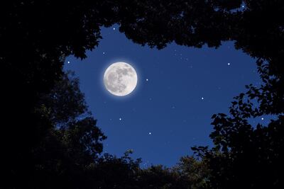¿Cuándo ver la próxima Super Luna llena de agosto?
