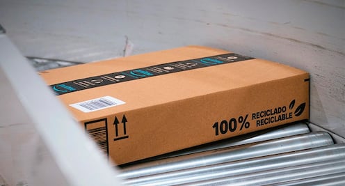 Las iniciativas sustentables de Amazon México: un anuncio revelador sobre el futuro ambiental de la empresa