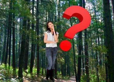 ¿Por qué se llama Desierto de los Leones si no es un desierto y no hay leones?