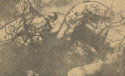 En el patio de una casa, así fue el fatídico avionazo de Pedro Infante en 1957