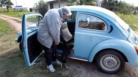Día Mundial del Vocho. Fecha para festejar a este icónico auto