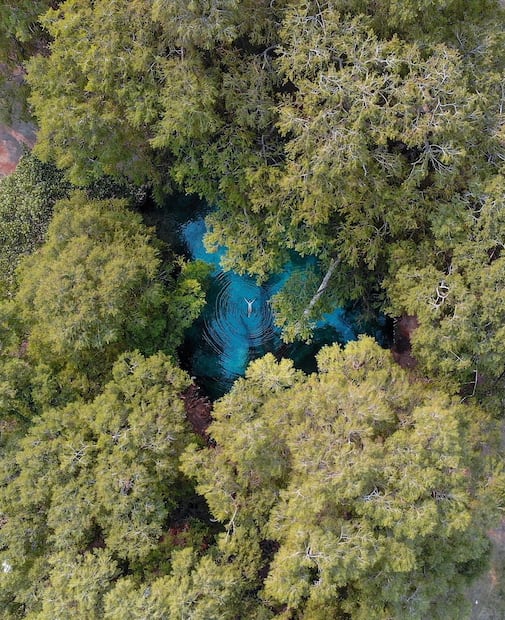 Foto: Instagram MELISSA / @melissa.sombrerero