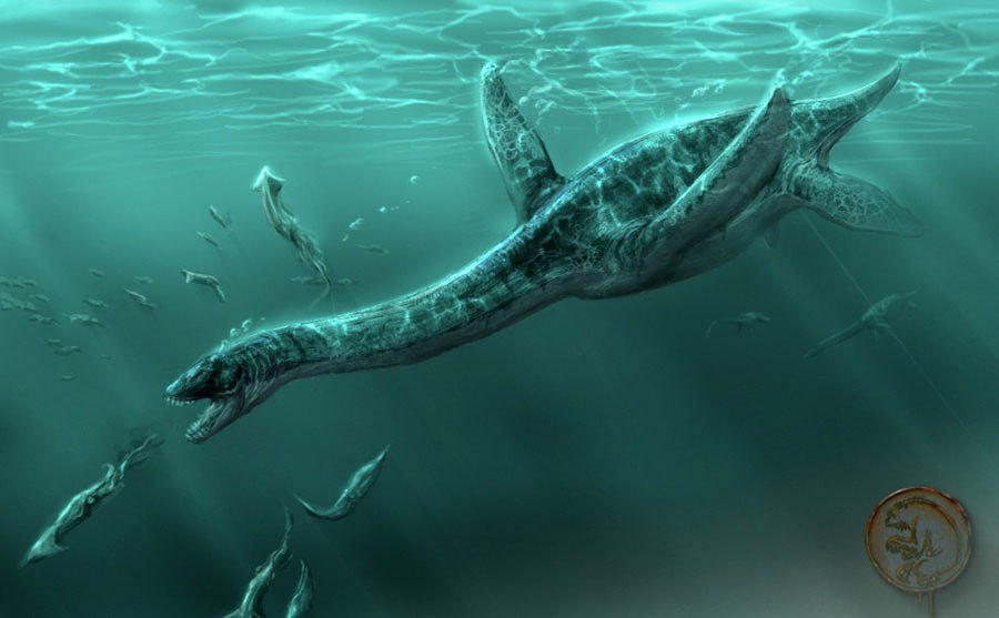 Foto: Plesiosaurus