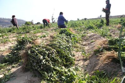 INEGI reporta crecimiento económico en Puebla