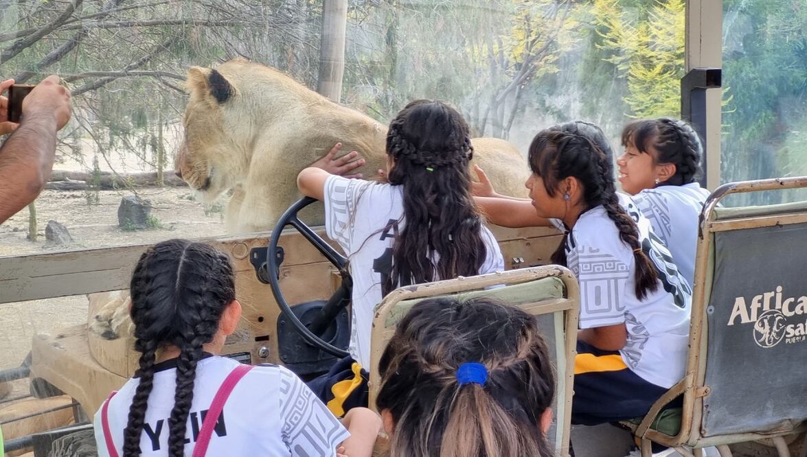 Africam Safari es una actividad perfecta para que tu hijo se divierta en Puebla | ES IMAGEN