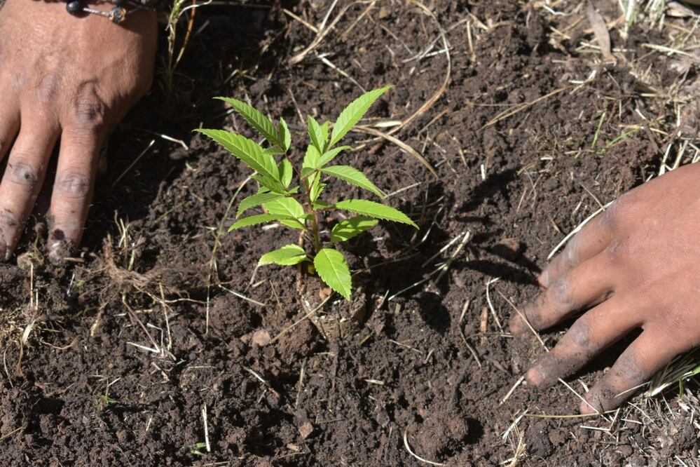 Imagen: Ayuntamiento de Puebla