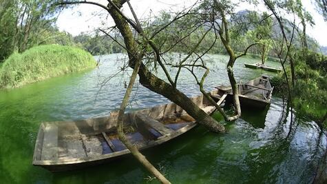 Visita El Papalote, el complejo ecoturístico lleno de luciérnagas en Puebla