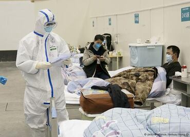 ¿Qué es el virus oropouche, cómo se contagia y cuáles son los síntomas?