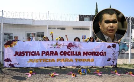 Caso Cecilia Monzón: Dejan sin efectos condena contra Javier N. por violencia familiar