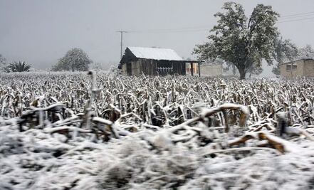 ¡No guardes la chamarra! En estos municipios de Puebla seguirán las heladas y escarcha