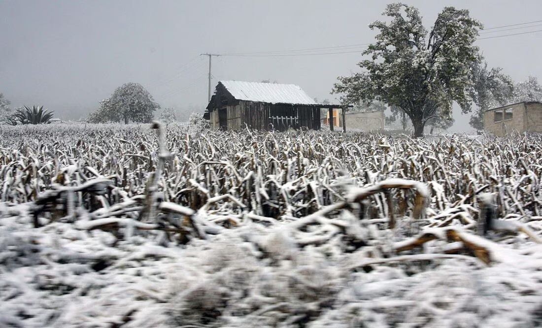 Las bajas temperaturas prevalecerán en gran parte del estado de Puebla | Foto: Archivo El Universal