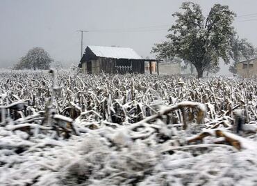 ¡No guardes la chamarra! En estos municipios de Puebla seguirán las heladas y escarcha