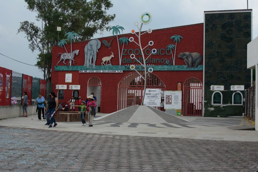 En el Zoológico del Altiplano de Tlaxcala puedes convivir con animales | Foto: EsImagen