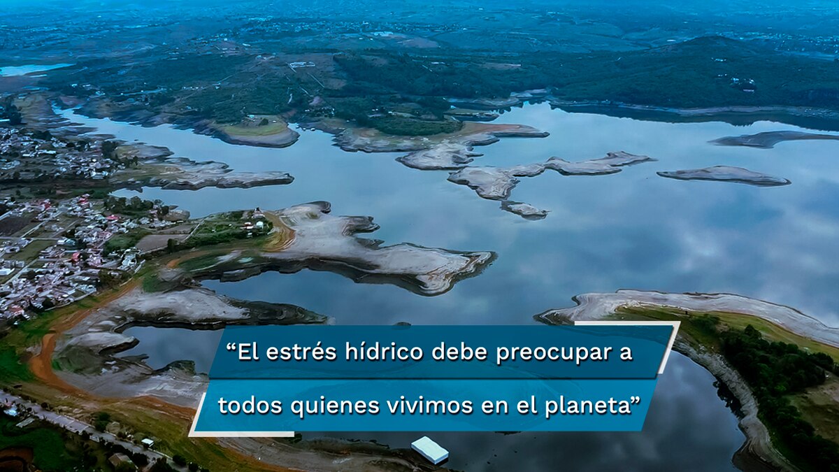 Qué es el estrés hídrico y por qué nos debe preocupar