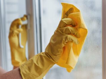 Empleadas domésticas en Puebla ganan 200 diarios